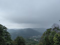 -桃花岭景区
