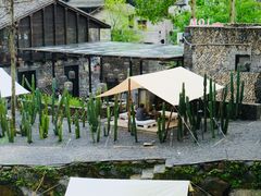 -MOJ coffee(瓯海泽雅水碓坑店)