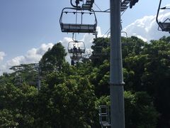 -圣淘沙天际线斜坡滑车