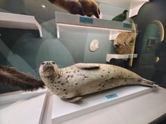 -国家自然博物馆