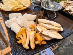 -蘑统田下·野生菌火锅