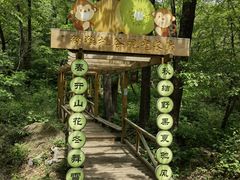 -大岭沟猕猴桃谷风景区