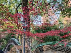 -申粤轩酒楼·三十年粤菜经典(丁香花园店)
