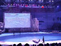 -华夏文旅海洋公园