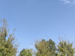 -瑶湖郊野森林公园