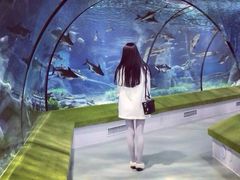 -福州罗源湾海洋世界旅游区