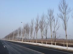 -长春莲花山滑雪场