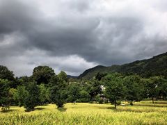 -塔川景区