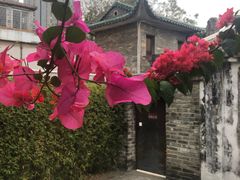 -东莞市可园博物馆