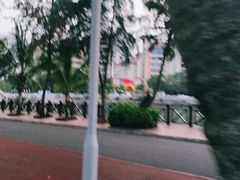 -万绿园