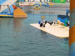 -秦皇岛乐岛海洋王国