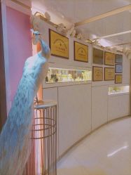-英芬国际月子中心(岛屿度假月子·洲至奢选香岚店)