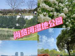 -贡湖湾湿地公园