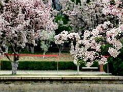 -元大都城垣遗址公园