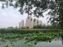 -前关湿地公园