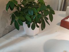 -大鸭梨烤鸭(枣园店)