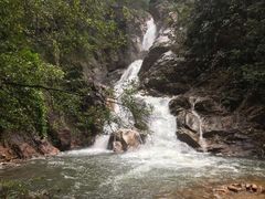 -九龙江国家森林公园