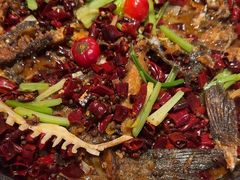 -老板恋上鱼(恒隆广场店)