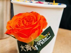 风城玫瑰-大青树咖啡(大理古城店)
