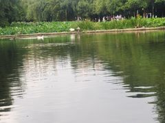 -月牙潭公园