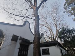 -上海醉白池公园