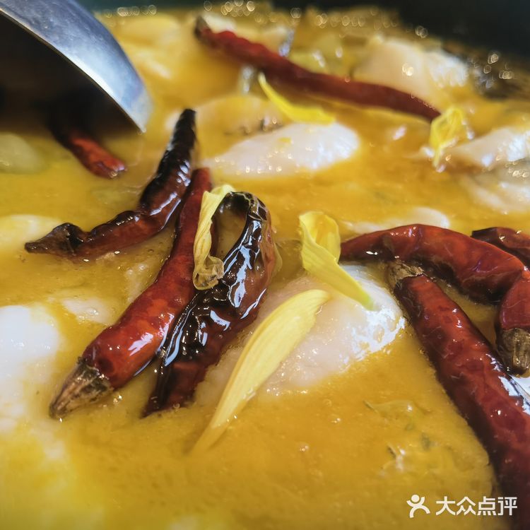 这是我目前为止吃过的最好的海肠捞饭了