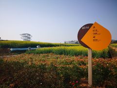 -光明小镇欢乐田园