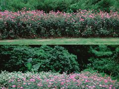 -香蜜公园