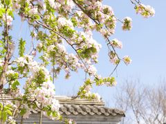 -海棠花溪(元大都城垣遗址公园)