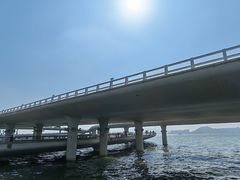 -演武大桥观景平台