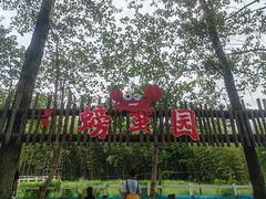 -林间山庄