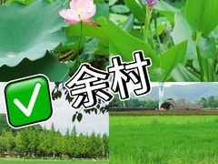 -阿露佳·舌尖上的安吉菜