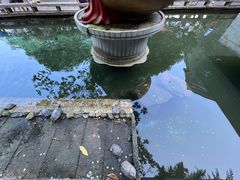 -鼎湖山风景区