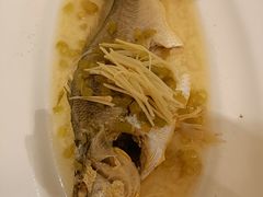 -宝燕壹号(徐汇店)