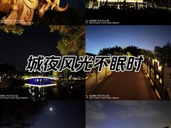 -四海公园(南山区)