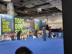 -东浩兰生上海世博展览馆