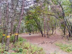 -帽儿山国家森林公园