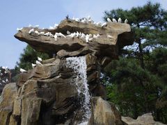 -燕塞湖鸟语林景区