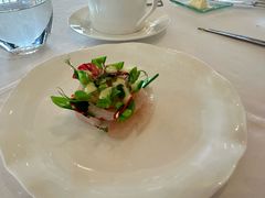 真鲷刺身和青豆沙拉酪乳油醋汁-Jean Georges