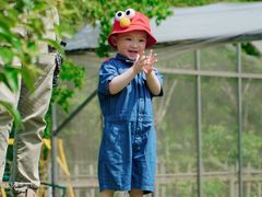 -前小桔亲子创意农场·草莓采摘·露营烧烤