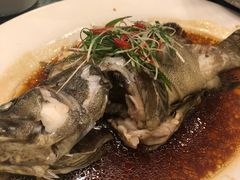 -顺风山庄(水濂山店)