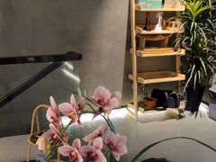 -施奈儿.洗头頭療.按摩SPA.采耳(上梅林店)