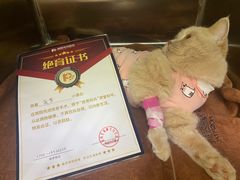 -瑞鹏宠物医院·微创内窥镜·骨外科·牙科(翠竹分院)