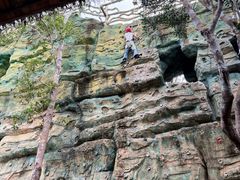 -海南槟榔谷黎苗文化旅游区
