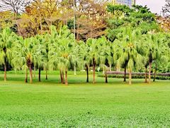 -广州体育学院体育馆-南馆