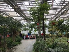 -南宫五洲植物乐园