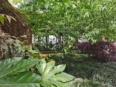 -柳莺湖上·湖景餐厅·江南菜(西湖店)