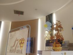 -雅曼妮spa美容养生