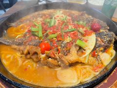 -老板恋上鱼(印象城店)