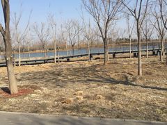 -东郊湿地公园